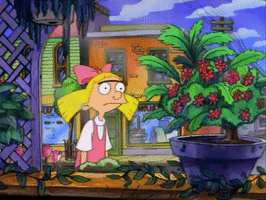 200.gif?cid=fc005b08fa386a8f92cfbd0fcfe1ab32c56f71f7670bb599&rid=200.gif&ct=g