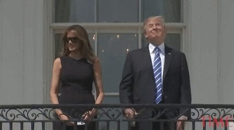 Donald Trump Meme GIF - Find & Share on GIPHY