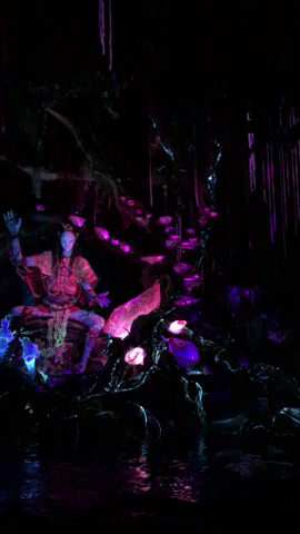 modelcitypolish visitpandora GIF