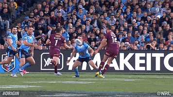 national rugby league blues GIF by NRL