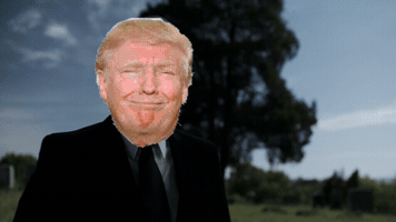 FakeNewsMatters trump fake news cnn GIF