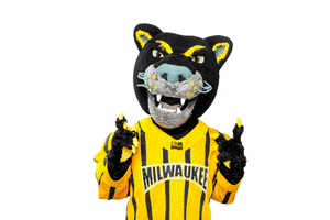 excited pointing GIF by UW-Milwaukee