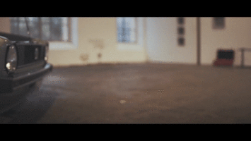 fernandosantiagouriostegui small bumpers GIF