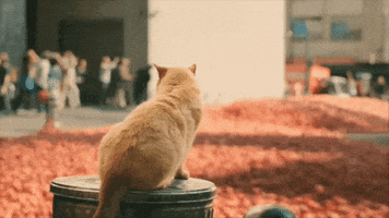 Dance Choose GIF by Strongbow Bulgaria