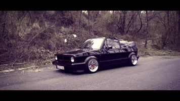fernandosantiagouriostegui small bumpers mk1 GIF
