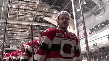 hockey ohl GIF by Ottawa 67's