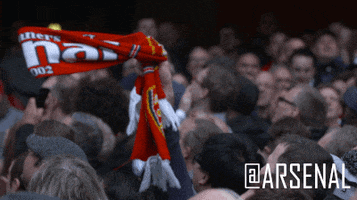 come on football GIF by Arsenal