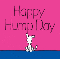 Illustrated gif. Small white dog sits on a blue floor, which suddenly rises up in the middle as a mound, tossing the dog in the air. Text, "Happy hump day."