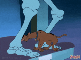 Dog Food GIF by Scooby-Doo