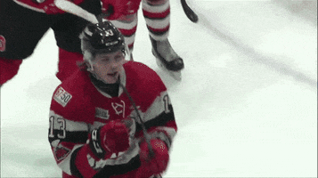 hockey fist bump GIF by Ottawa 67's