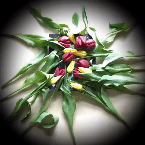 Valentine Bouquet GIF