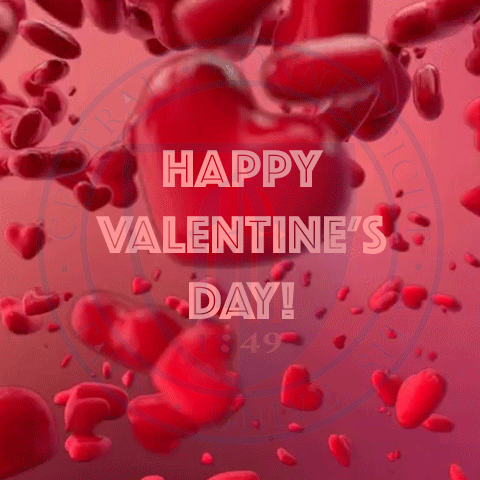 Happy Valentine S Day GIF by Central Connecticut State University