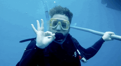 Scuba Diving GIFs - Get the best GIF on GIPHY