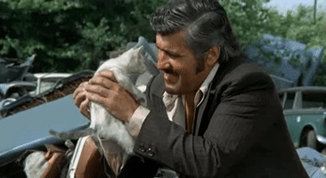 #Manhunt #Marioadorf GIF