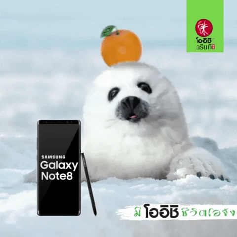 Pae Paestate GIF by OishiDrinkStation