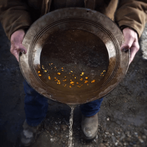 February 2020 NUPA newsletter content media