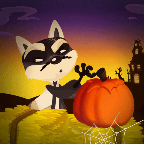 halloween pumpkin GIF by King