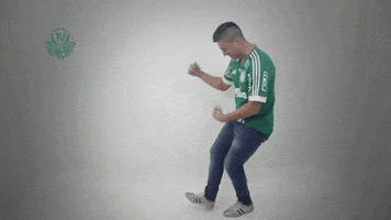 dance guitarra GIF by SE Palmeiras