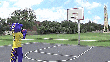 Basketball Fail GIF by St. Mary's University