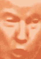 trump mouth GIF by Josh Rigling