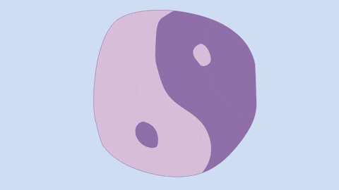 Animation Morph GIF by Ben