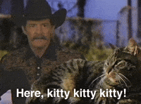 200w.gif?cid=6c09b952eo4dcewg6lw8gaam5v1