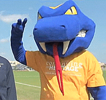 mascot rattlers GIF by St. Mary's University
