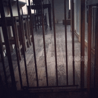 Fun GIF