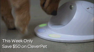 CleverPet  GIF