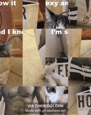chknfoot chknfoot GIF