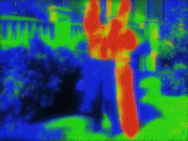 200.gif?cid=fc005b0849b67ac1a3c1ce6b782d5757c65445bf17049a2a&rid=200.gif&ct=g