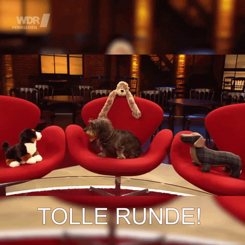 Dog Guest GIF by Koelner_Treff