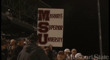 Baseball GIF by Missouri State University