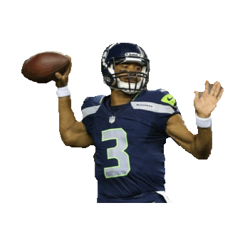 seahawks STICKER