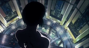 turbulent_determinism  GIF