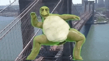 baby ninja turtle gif