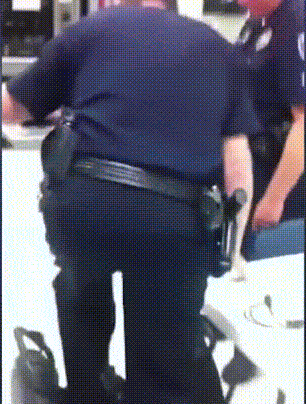 shubhamdawra fail police police fail police man fail GIF