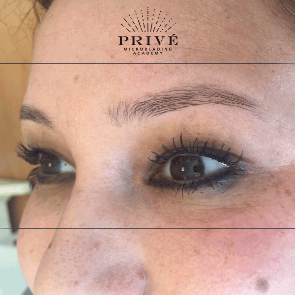 tatjanadamjanovic  GIF