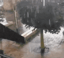 gifail  GIF
