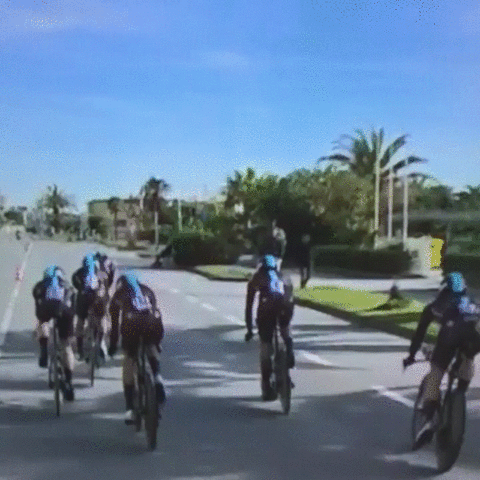 joncannings  GIF