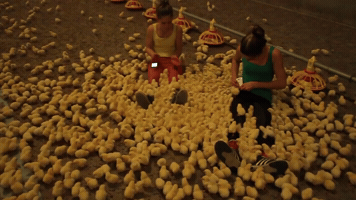 veerleboekestijn  GIF