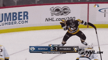 stanley cup hockey GIF by NHL