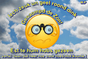 mientjepleumeekers de zon GIF