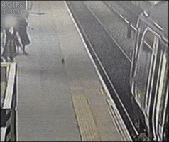johnmaike  GIF
