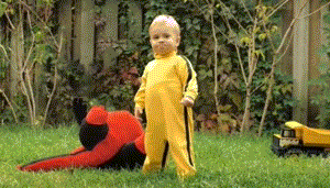 irishlad funny clever bruce lee game of death GIF