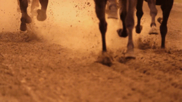 robertjordan18 horses tyt the young turks hounds GIF