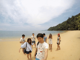 wt  GIF