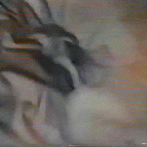 andersonferreirabeowulf  GIF