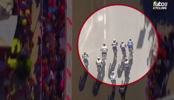 danielfmcmahongmailcom  GIF