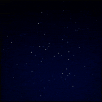 Night Gif Artist GIF by Erica Anderson